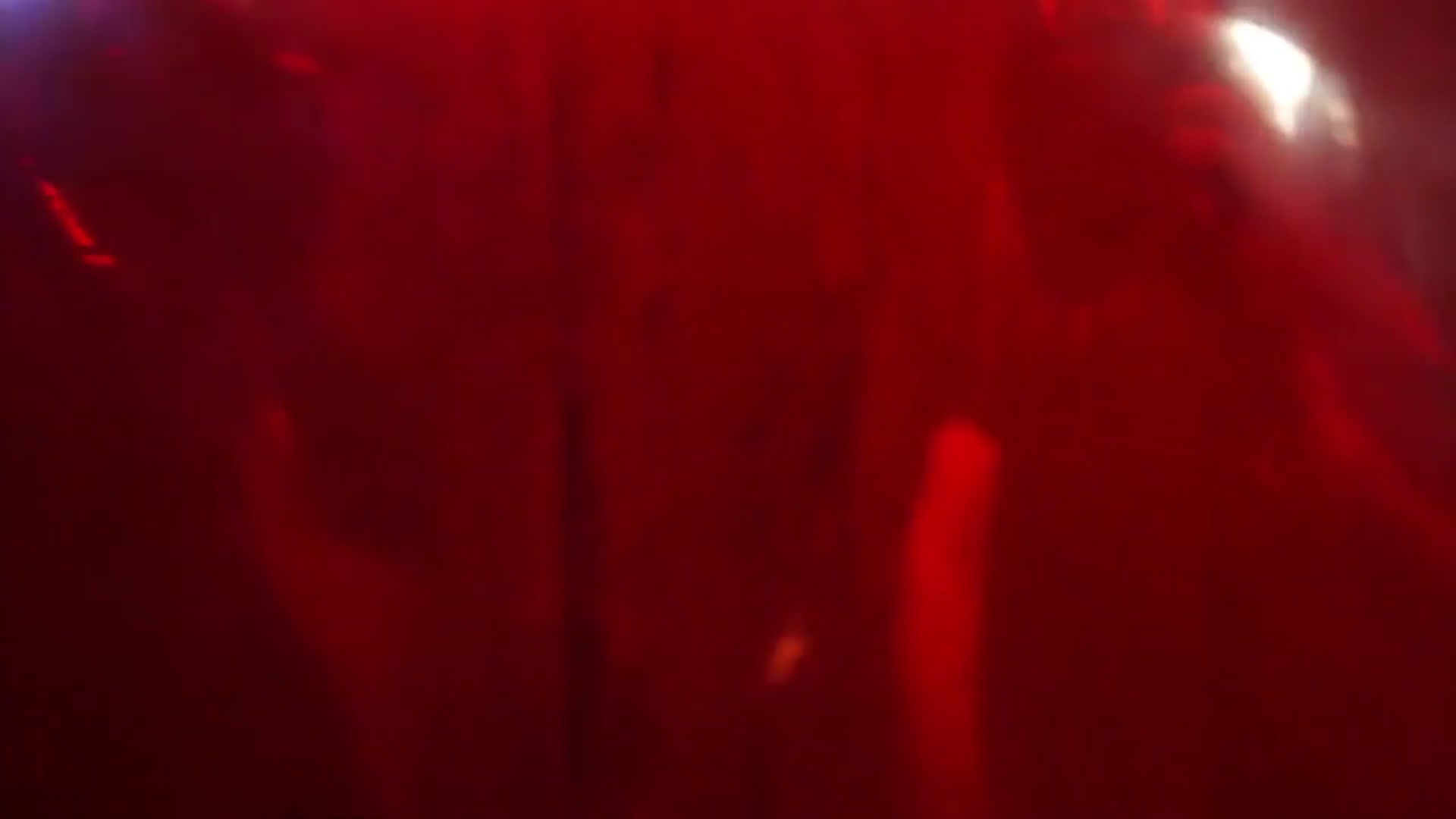 'Video thumbnail for The Zoo - Knott's Scary Farm 2025 New Maze'