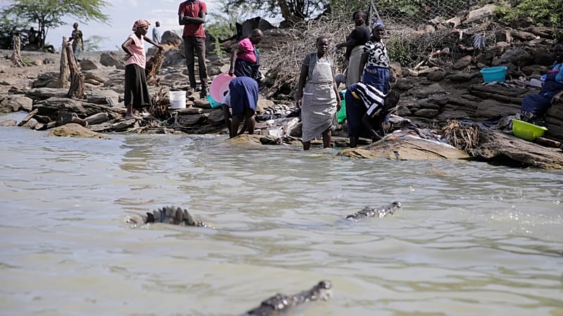 Video thumbnail for Kenya relocates crocodiles as rising waters bring them into conflict with humans