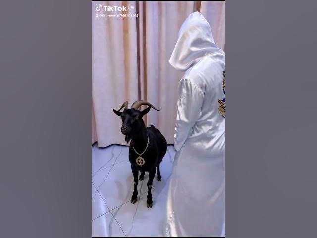 Video thumbnail for REAL ILLUMINATI AGENT +256768253786/+256702335894