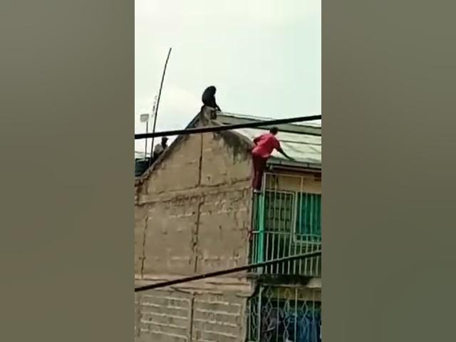 Video thumbnail for Man escapes death after falling from 3rd floor building scared by a monkey