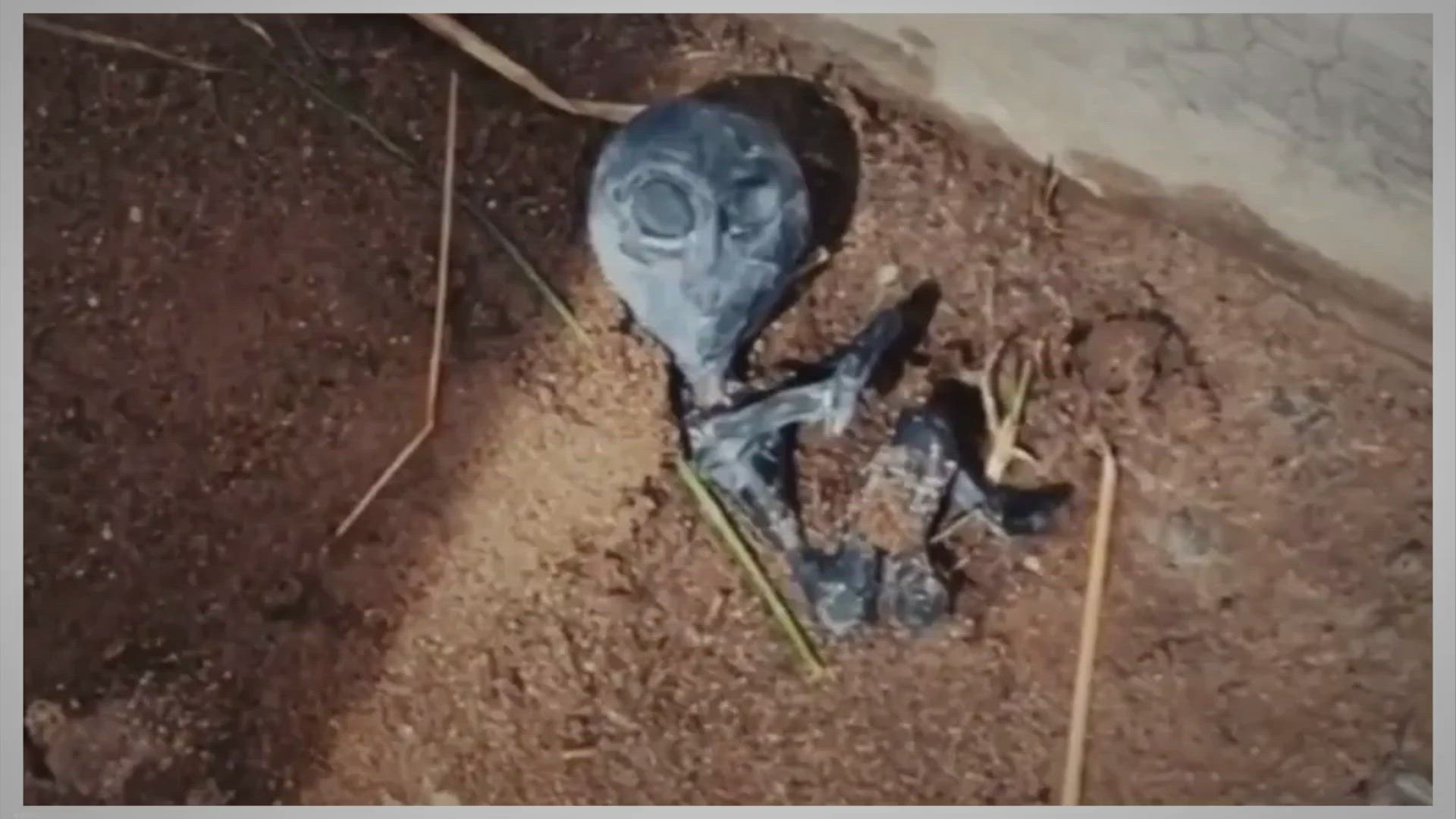 Video thumbnail for Enigmatic UFO Encounter in Bolivia: Vanishing Baby Alien and the Village’s Mysterious Visitors