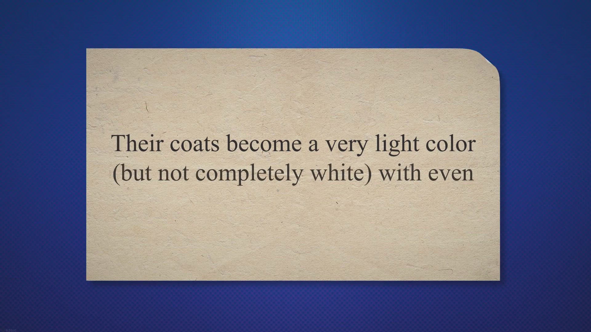 Video thumbnail for Doberman with Blue Eyes?(WATCH VIDEO)