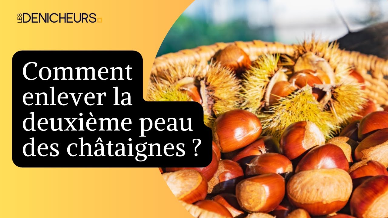 Video thumbnail for ❓ Comment enlever facilement la deuxième peau des châtaignes ? 🌰