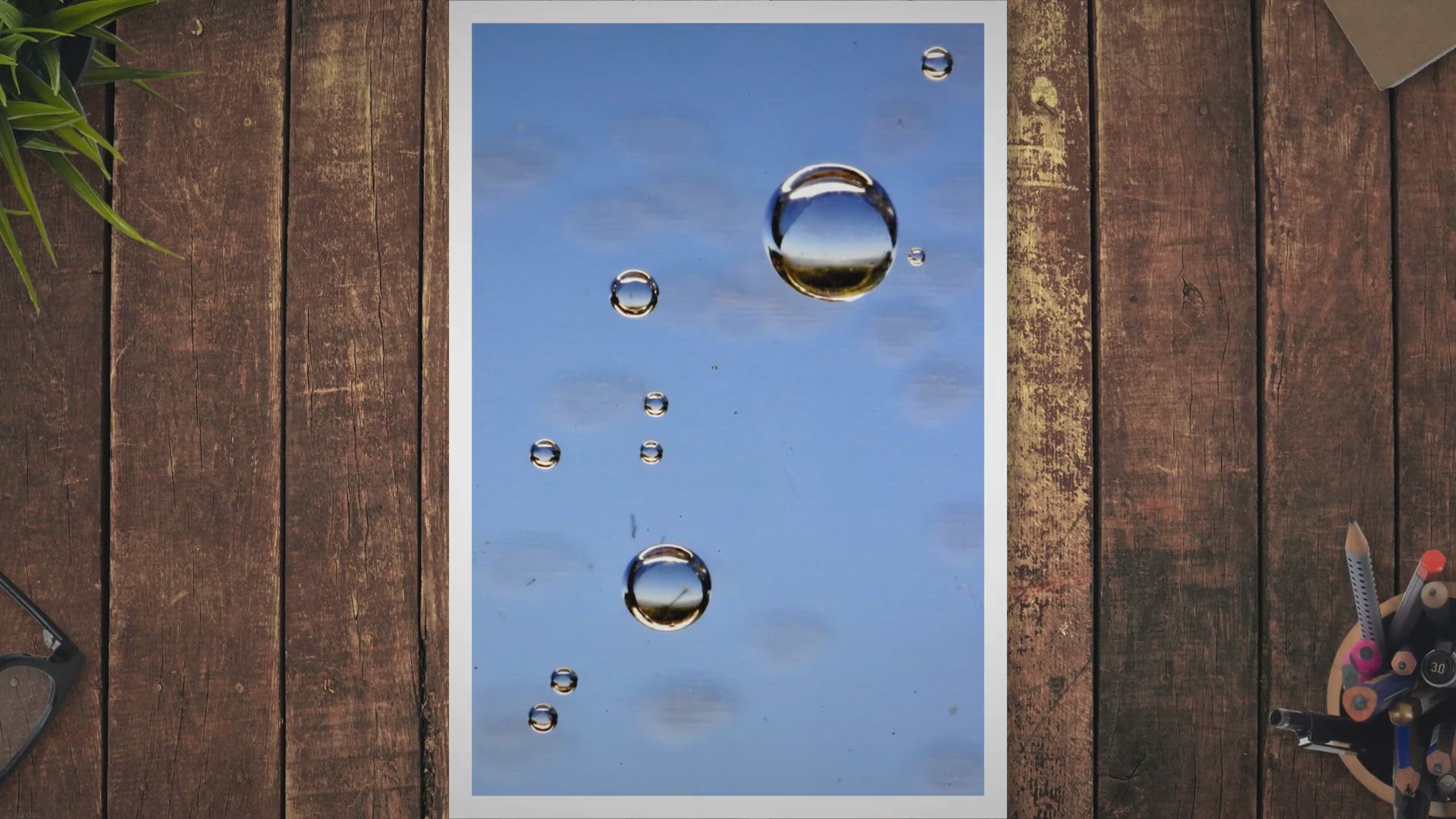 Video thumbnail for Effective and Eco-Friendly: Natural Pest Solutions for a Harmonious Home