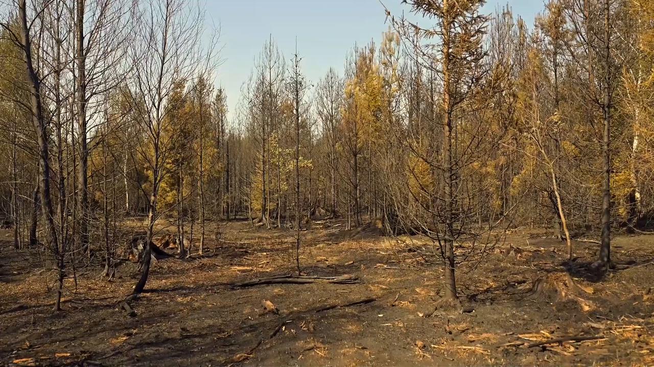 Video thumbnail for Czechia: Firefighting efforts continue as wildfire burns in Czech Republic.