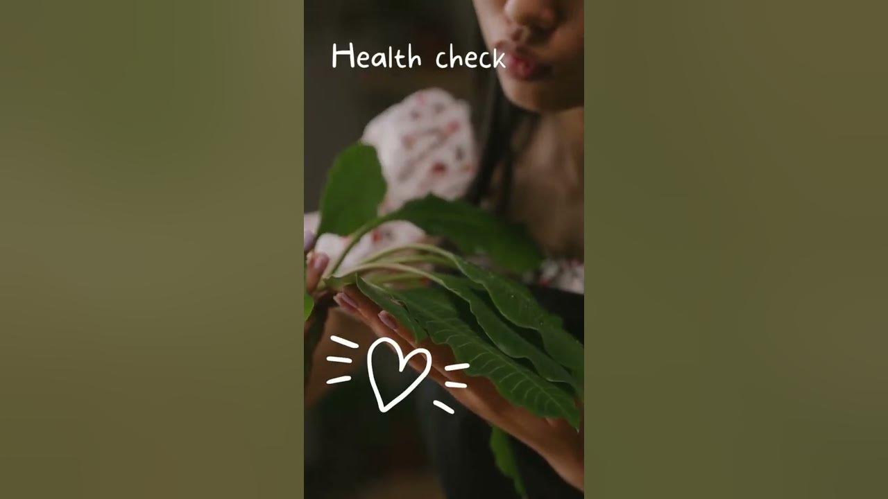 Video thumbnail for How to Keep Potted Plants Alive 🌱 FREE GUIDE 🌱