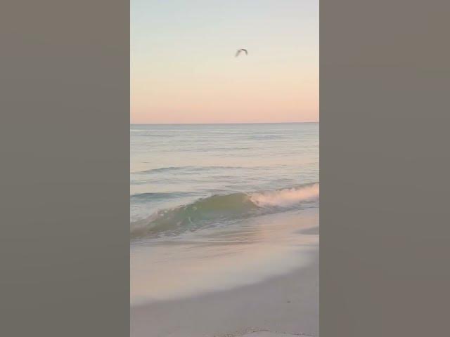 Video thumbnail for At the shore-------Ocean Waves#relax #peacefulwaves #relax #waves #lake #sunrise #beach #seasound