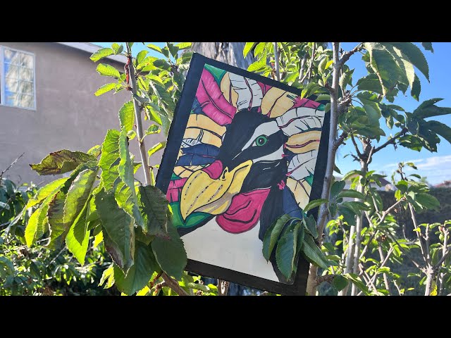 Video thumbnail for Virtual tour of Art, Wine and Conservation