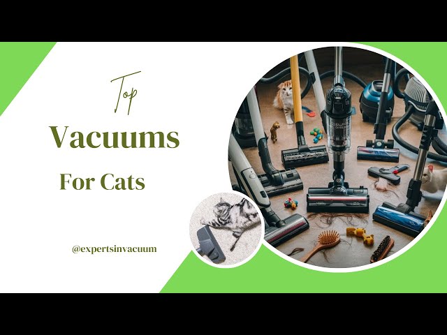 Video thumbnail for Top Vacuum Cleaners for Cat Hair and Litter Cleanup