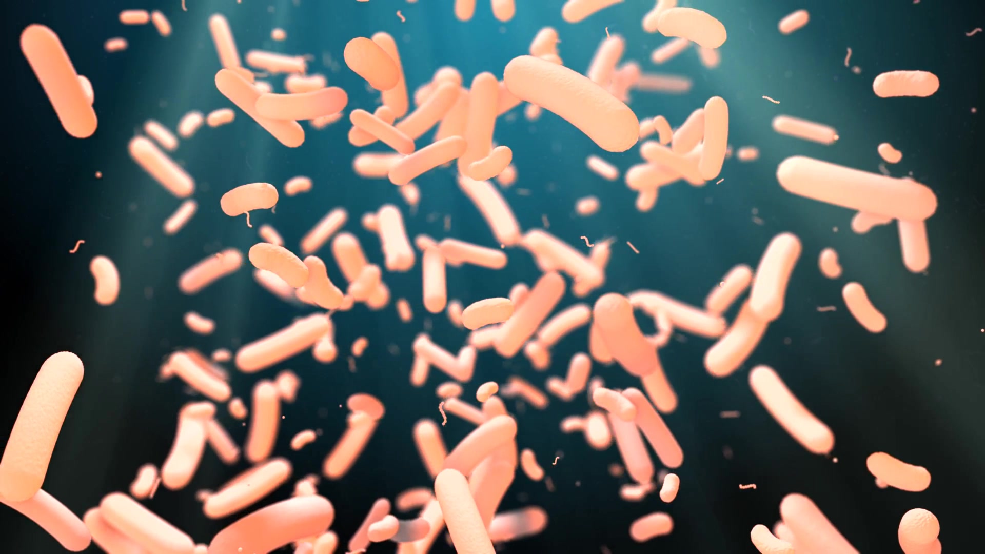 Video thumbnail for Así la IA descifra microbios en tiempo real