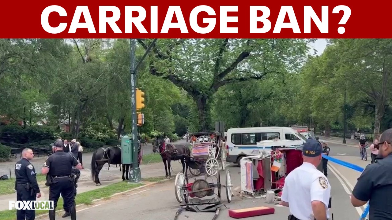 Video thumbnail for NYC horse carriage ban bill gets City Hall hearing after tourist’s death