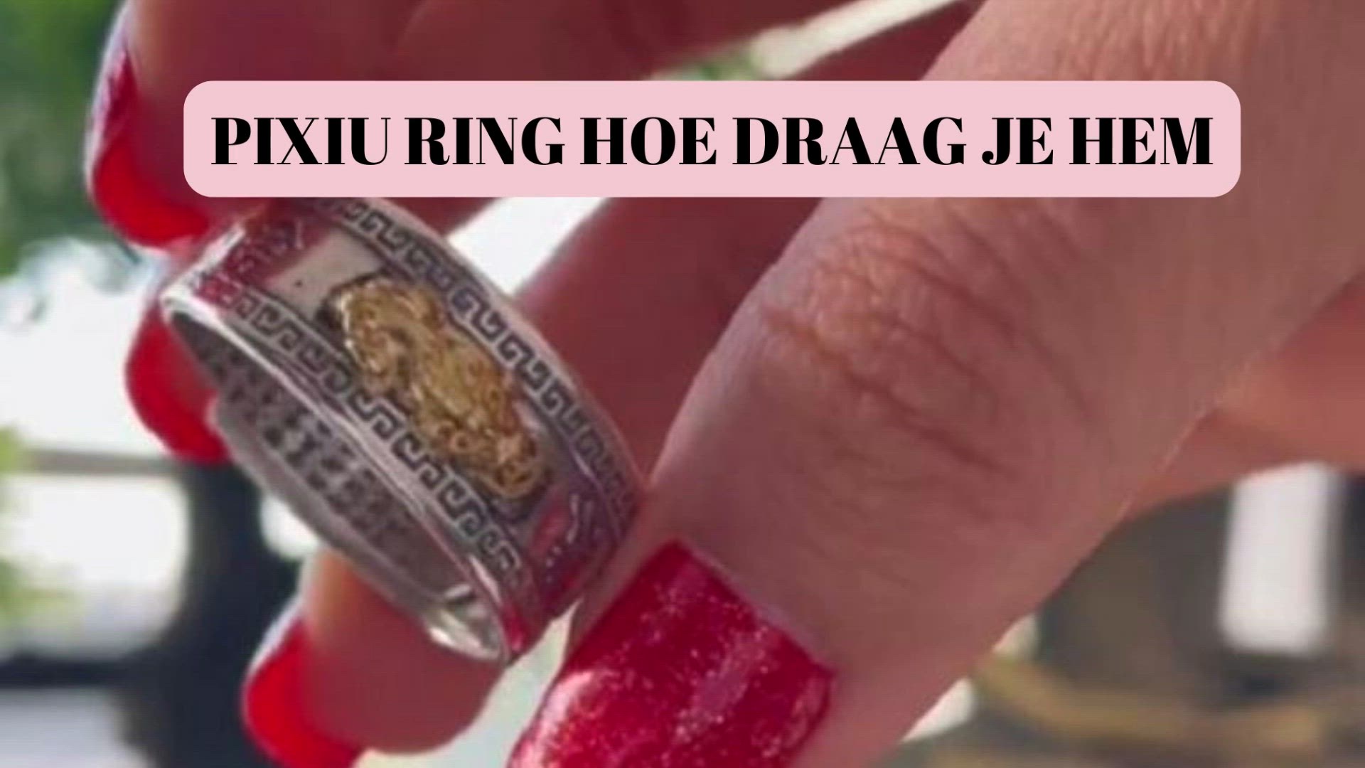 'Video thumbnail for Pixiu ring hoe draag je hem (Nl)'