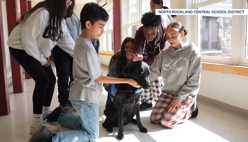 Video thumbnail for Dog makes history receiving full teacher tenure at Fieldstone Middle School