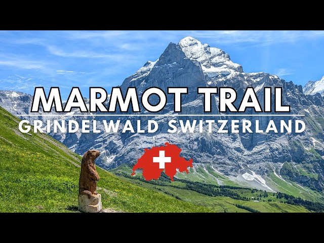 Video thumbnail for Grindelwald First Marmot Trail - Best Hikes Switzerland