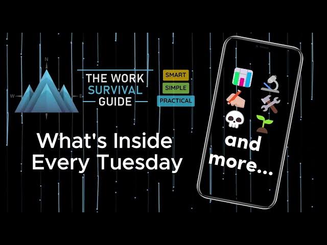 Video thumbnail for Newsletter: The Work Survival Guide Promo Video