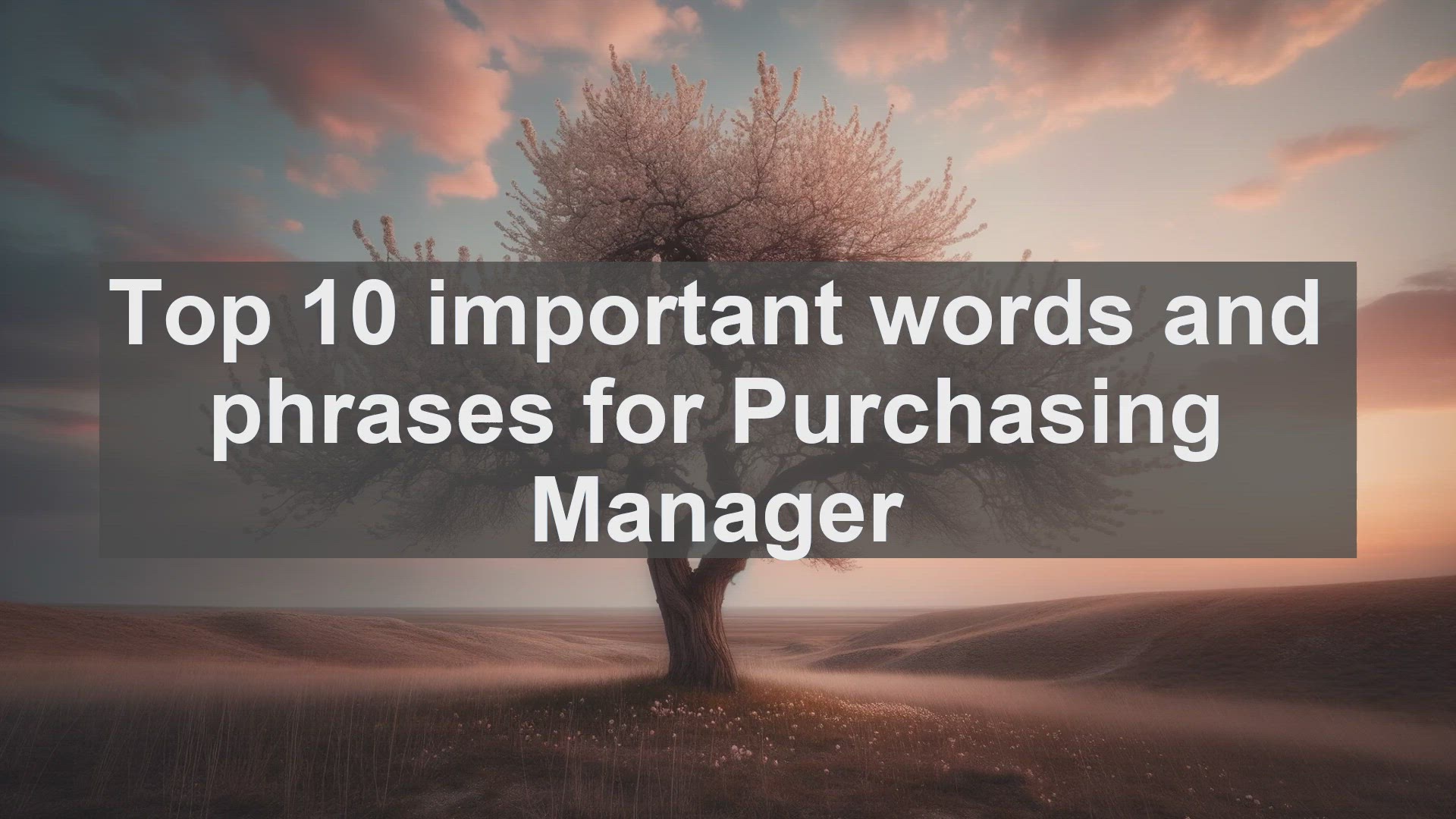 'Video thumbnail for Top 10 important words and phrases for Purchasing Manager'