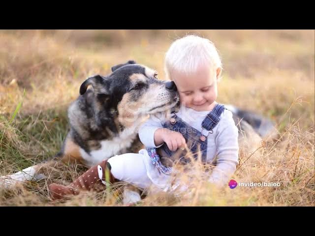 Video thumbnail for The German Shepherd  From Wolf to Milita