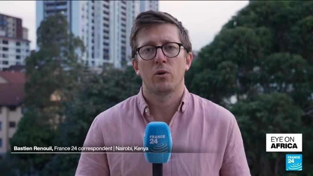 Video thumbnail for UN experts urge Sudan-wide arms embargo