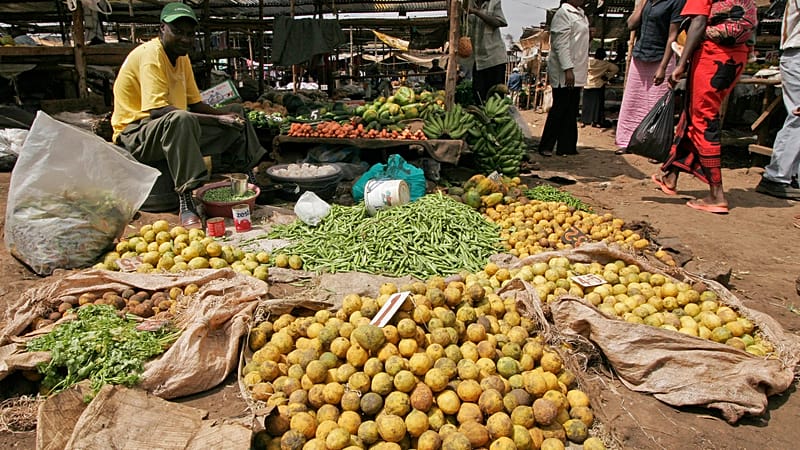 Video thumbnail for Kenya’s "wastepreneurs" turn food waste into opportunity