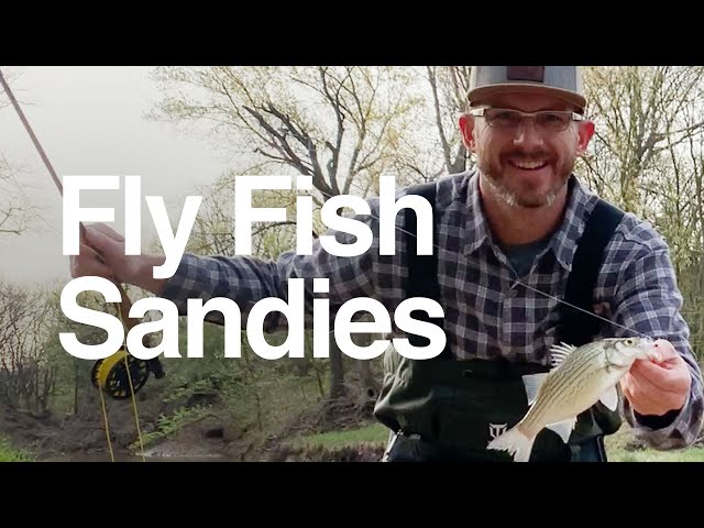 Video thumbnail for Fly Fishing The Sand Bass Run