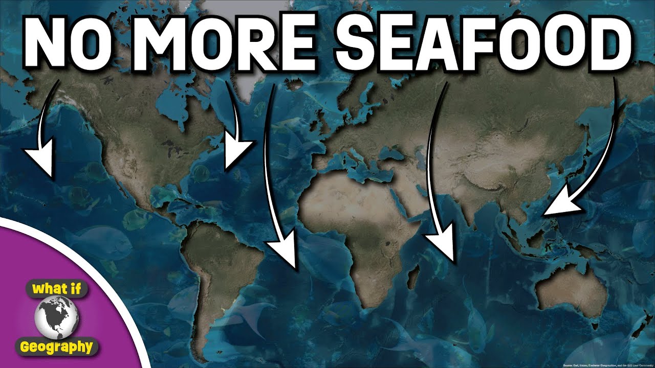 Video thumbnail for Global Fisheries Collapse: What If The Ocean Runs Out Of Fish?