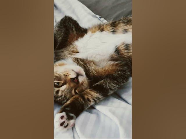 Video thumbnail for 31 August 2025