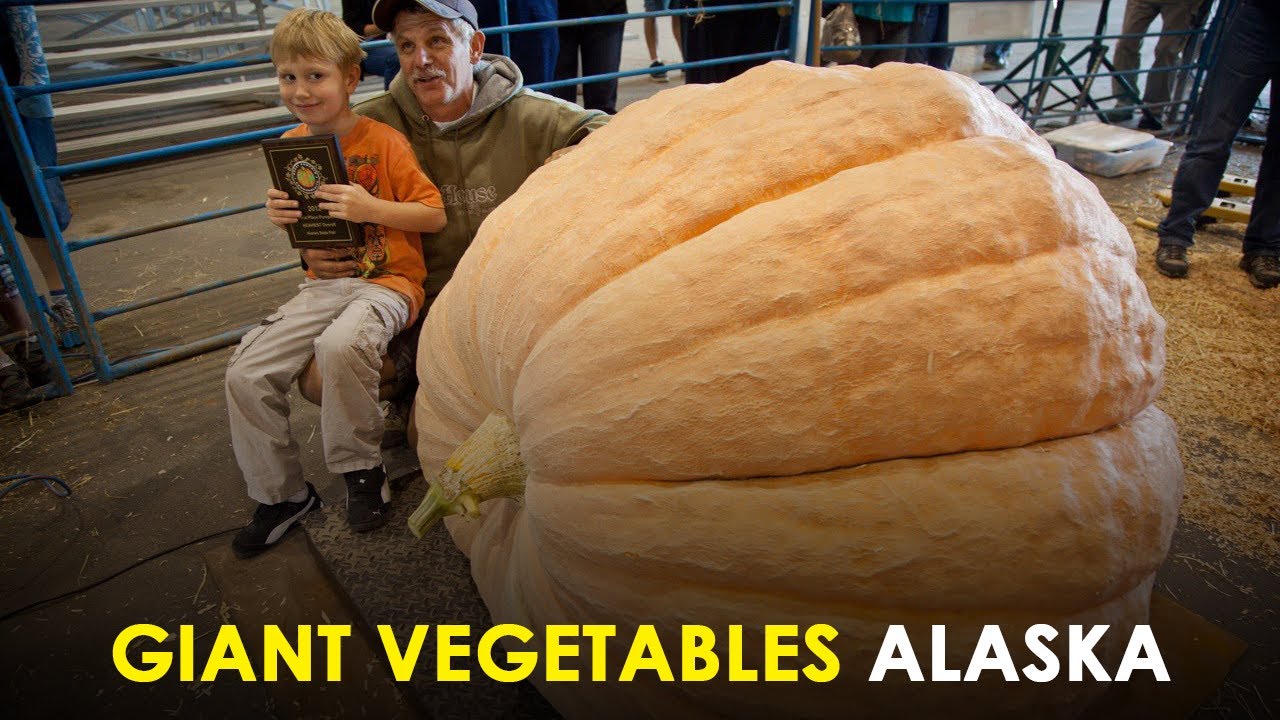 Video thumbnail for 10 Interesting Facts About Alaska