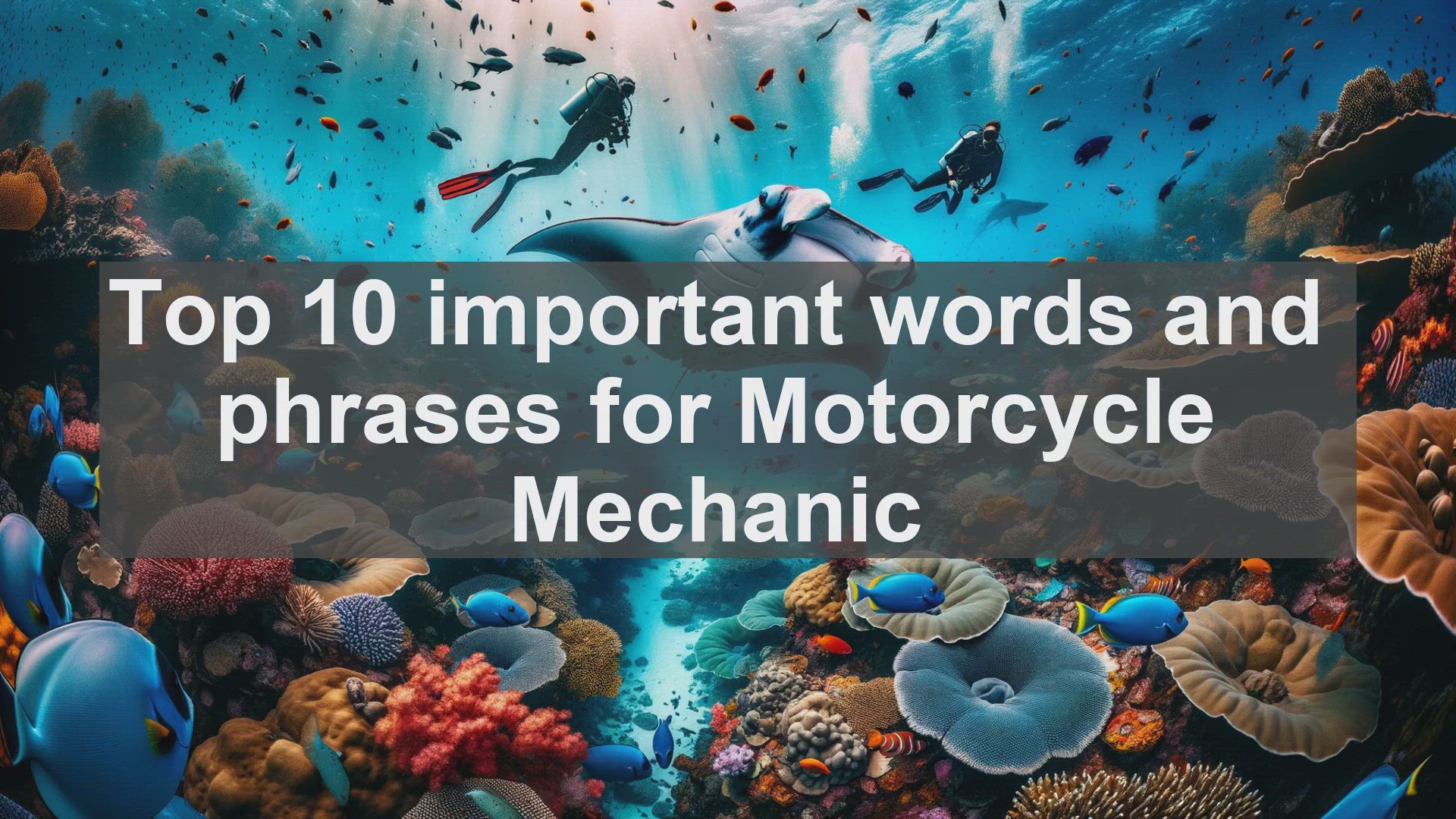 'Video thumbnail for Top 10 important words and phrases for Motorcycle Mechanic'