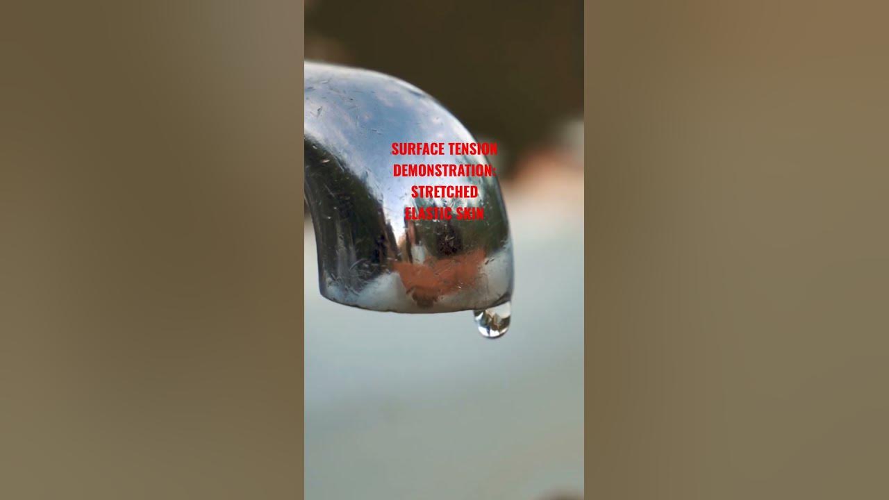 'Video thumbnail for SURFACE TENSION #surfacetension #physics #shorts #water #elasticskin #physics #waterdroplets'