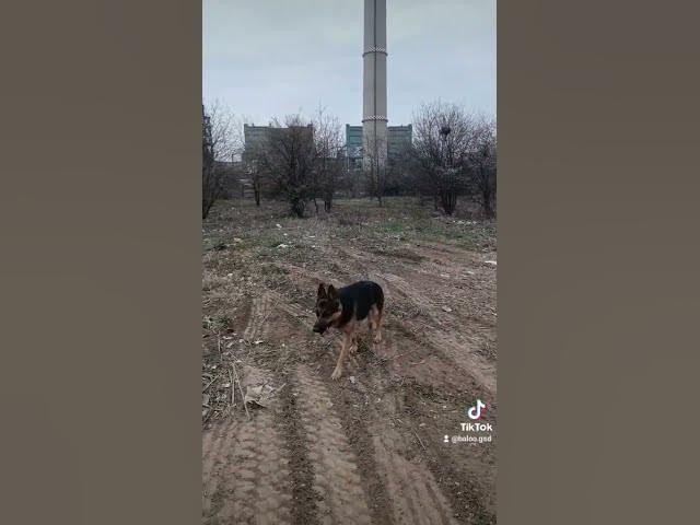 Video thumbnail for 26 mai 2024