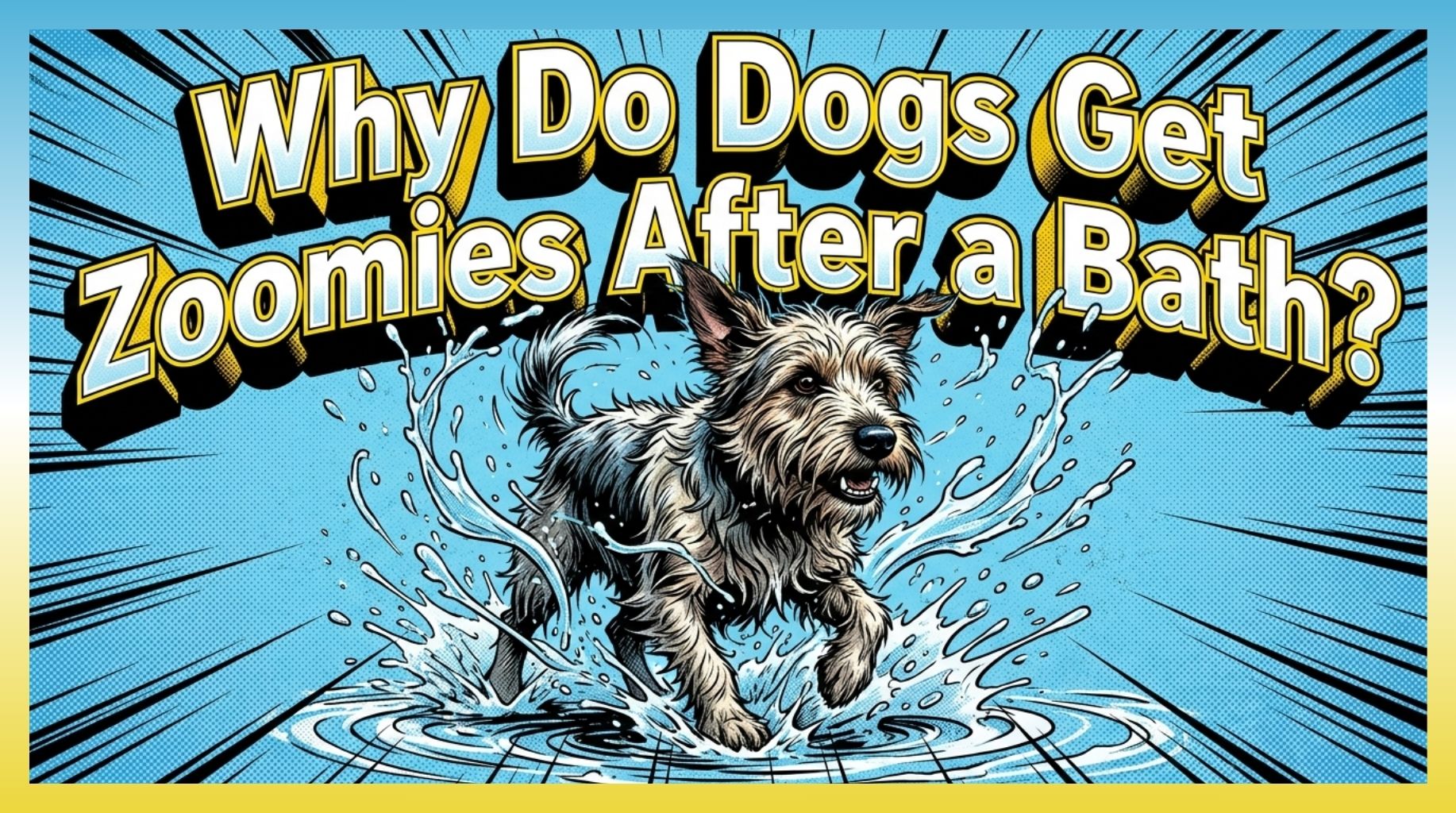 Video thumbnail for Post-Bath Dog Zoomies Explained