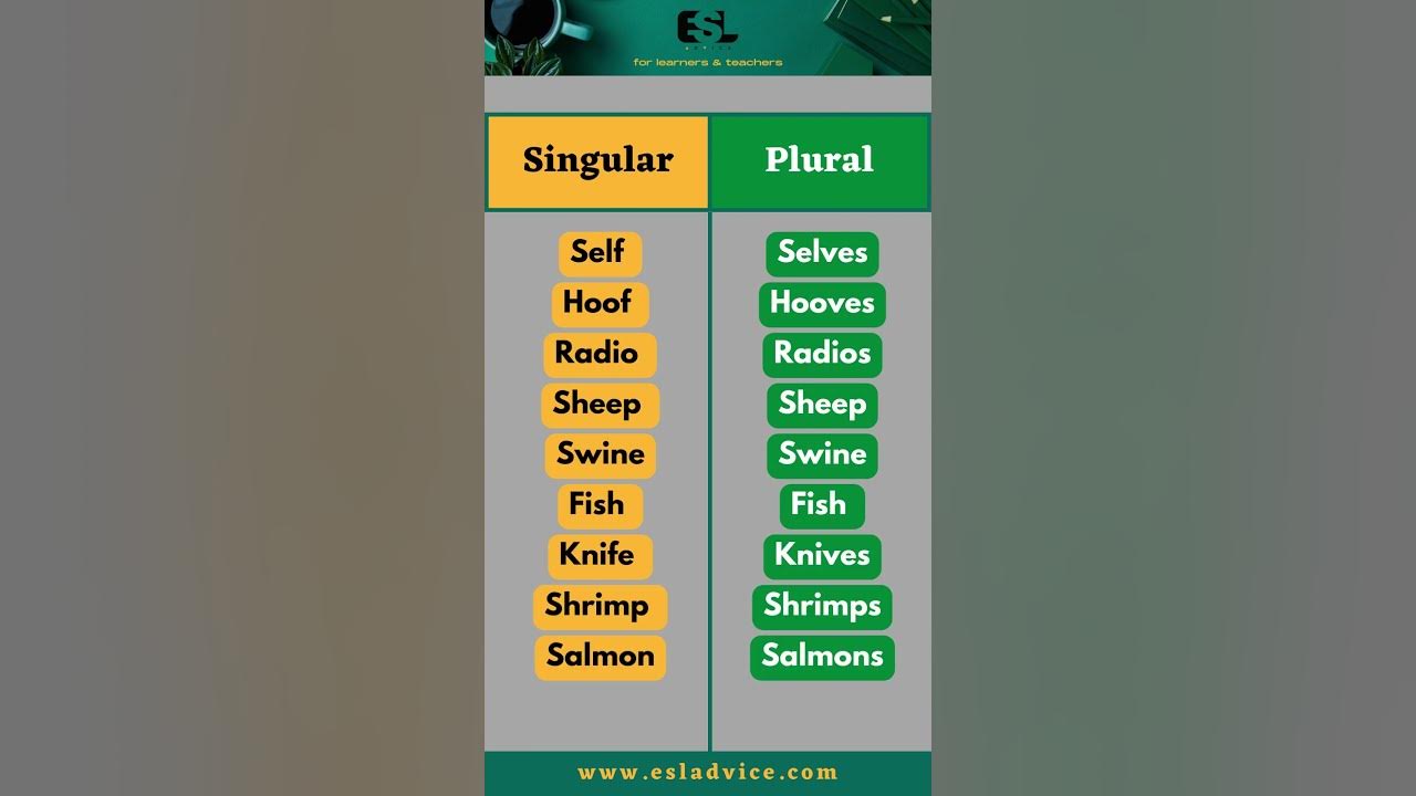 'Video thumbnail for Singular VS Plural Nouns || Part 4 || ESL Advice'