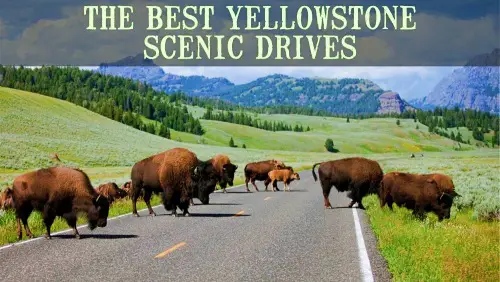 'Video thumbnail for The Best Yellowstone Scenic Drives'
