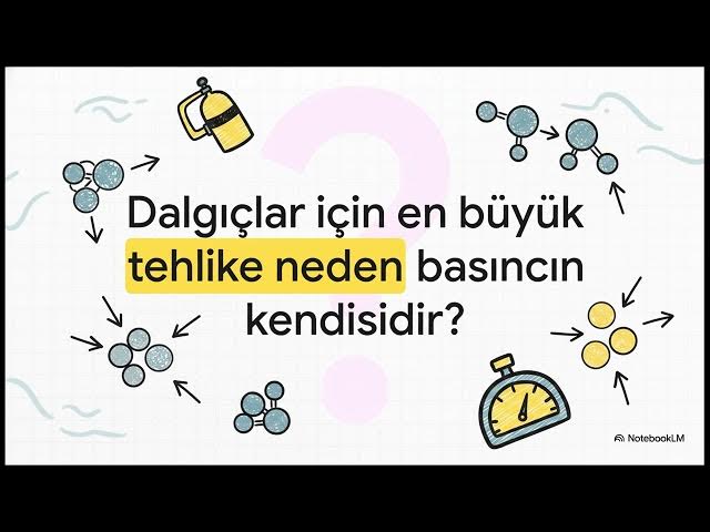 Video thumbnail for İş Sağlığı ve Güvenliği Uygulaması 2023-2024 Vize Soruları