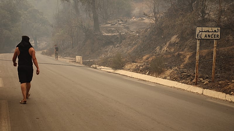 Video thumbnail for Funerals held for victims of Algeria's deadly wildfires