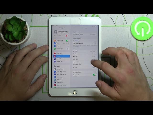 Video thumbnail for How to Change Notification Sound on IPAD MINI 4  – Adjust Sound Settings