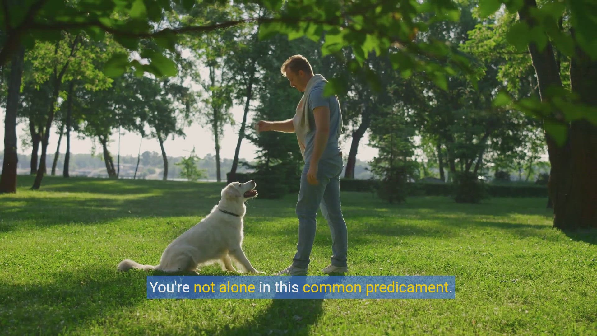 'Video thumbnail for Fetch 101: Mastering the Game with Your Dog'