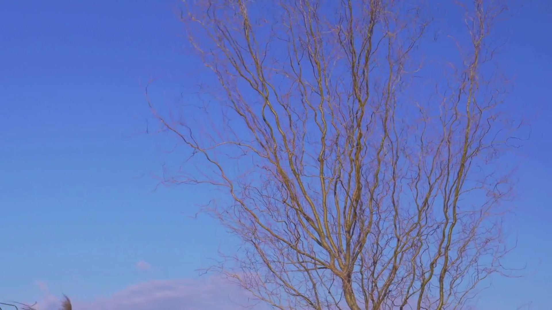 Video thumbnail for Short summary of the poem "Blow, Blow, Thou Winter Wind" written by one of the finest poet and playwright William Shakespeare