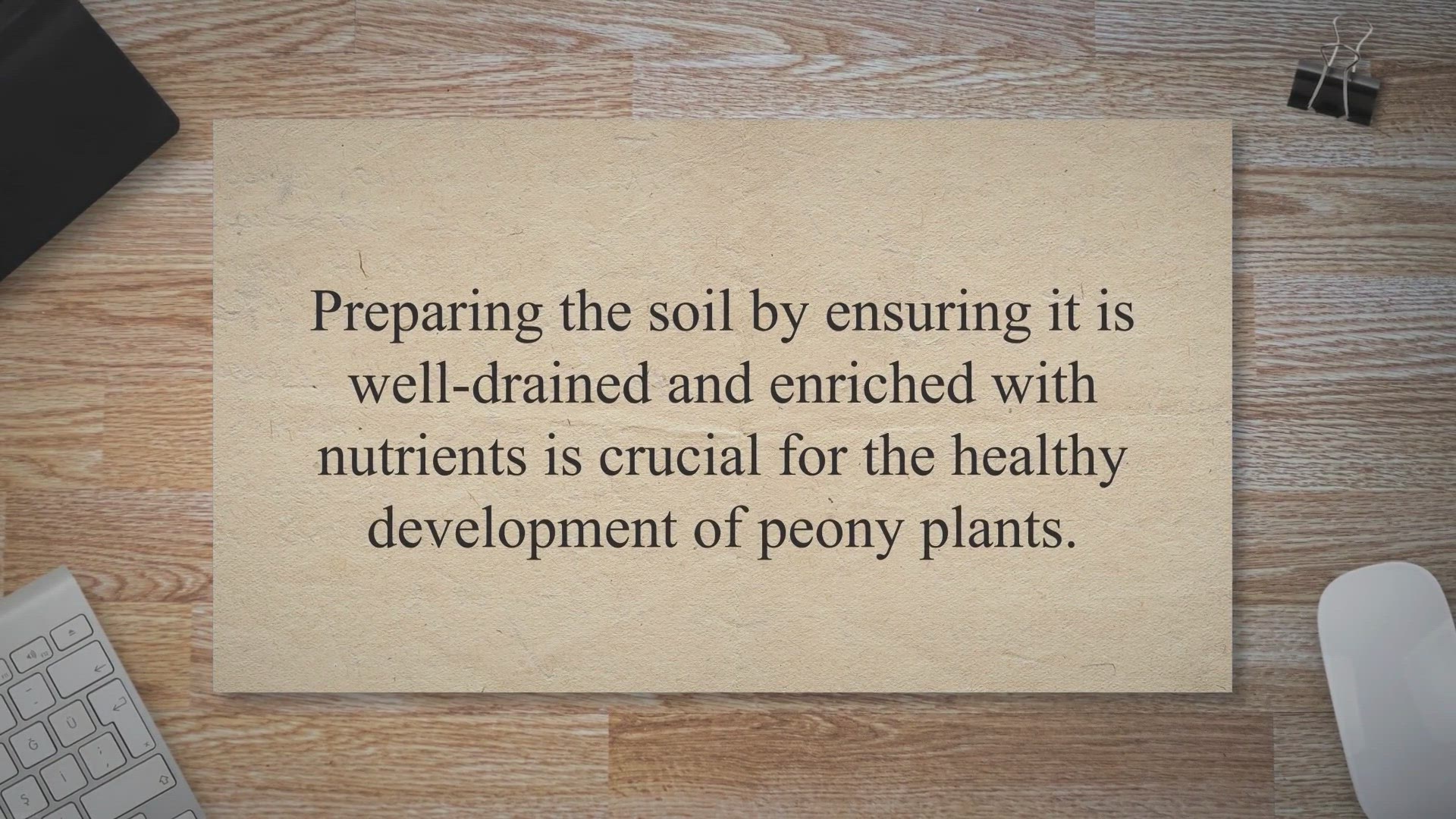 Video thumbnail for Planting peonies in spring: Tips for new peony flower plants and roots