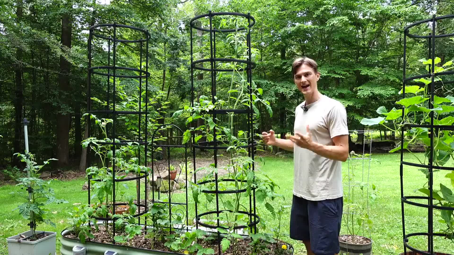 'Video thumbnail for Best Tomato Cages for lots of Heavy Tomatoes'