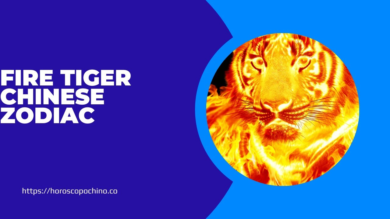 'Video thumbnail for Fire tiger chinese zodiac: video blog'