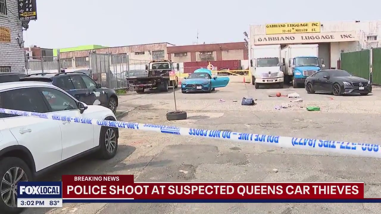Video thumbnail for NY News update: Cops shoot suspected car theives; Weinstein verdict watch