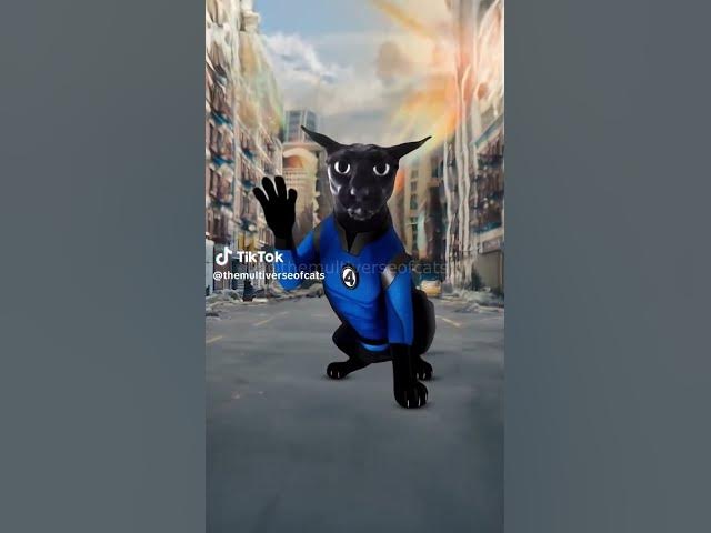 Video thumbnail for #chat #lifeisbutadream #cat