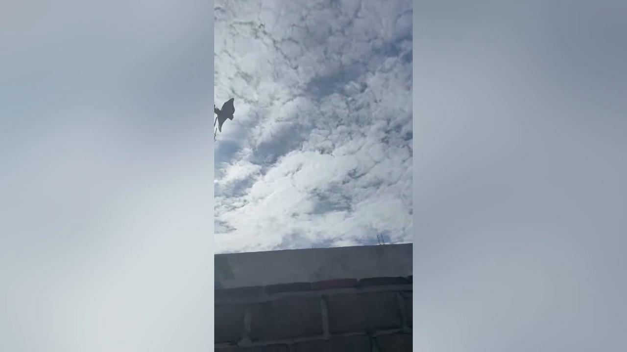 Video thumbnail for Mexico: Magnitude 7.4 quake strikes off southern Mexico, tsunami warning issued.