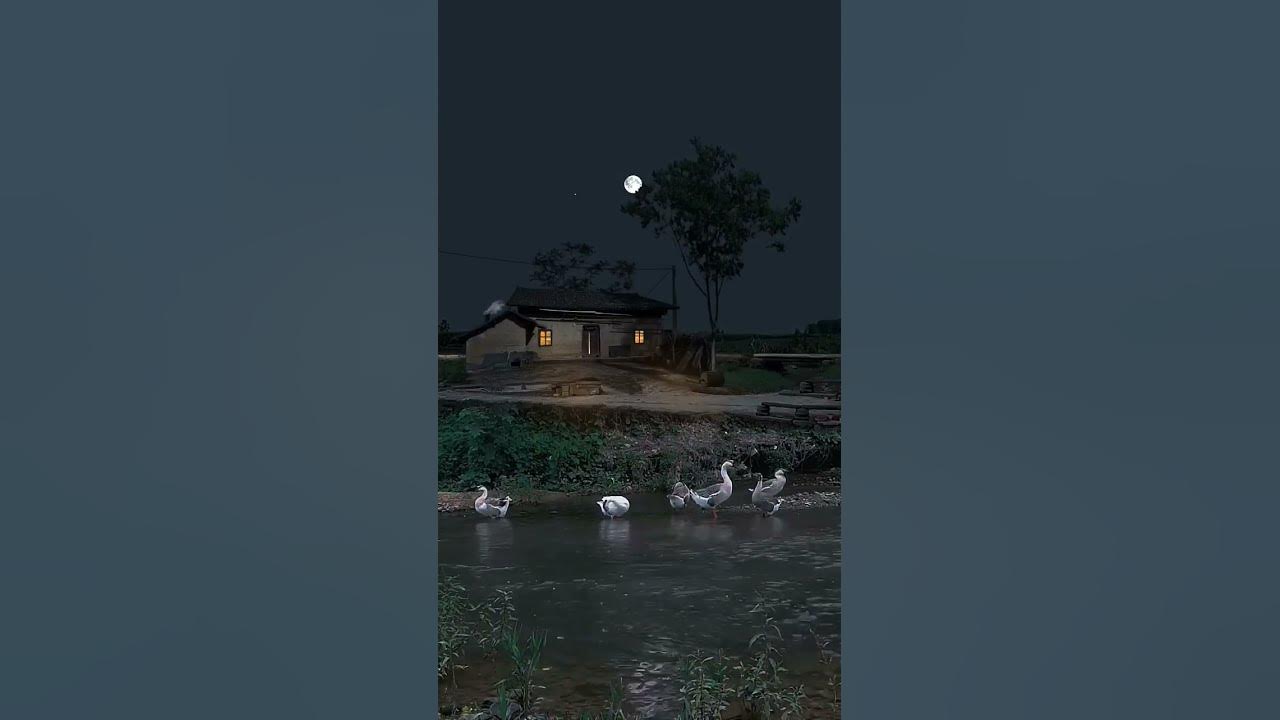 Video thumbnail for #nature butterfly #status #whatsappstatus #reels #omxmedia