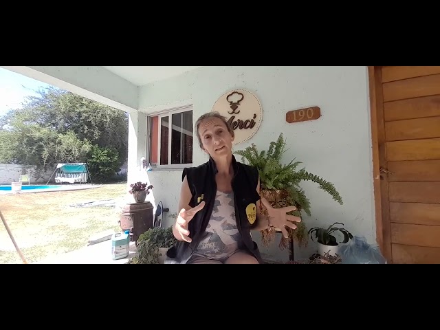 Video thumbnail for El proyecto de Gloria, nutrición de perros y gatos...