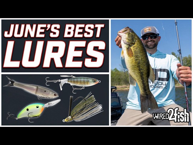 Video thumbnail for Our Best Bass Fishing Lures for June