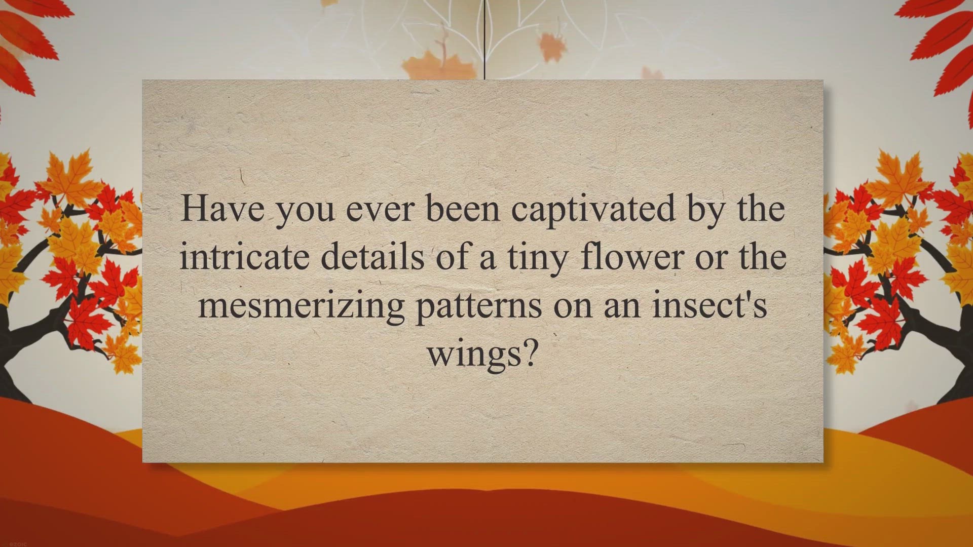 Video thumbnail for Mastering Macro Photography: Essential Gear and Techniques