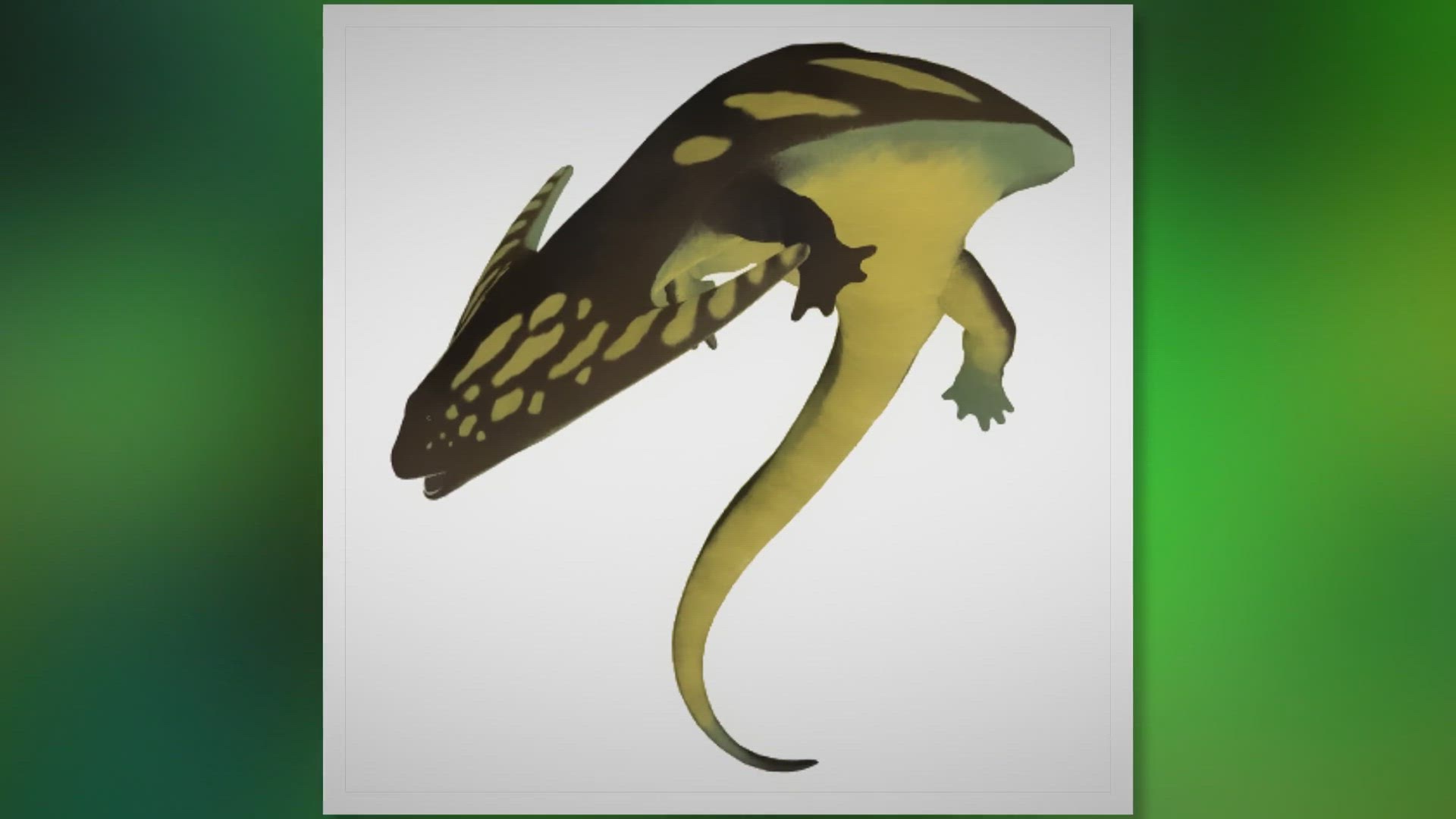 Video thumbnail for An Ultimate Guide to Diplocaulus: The Double Stalk