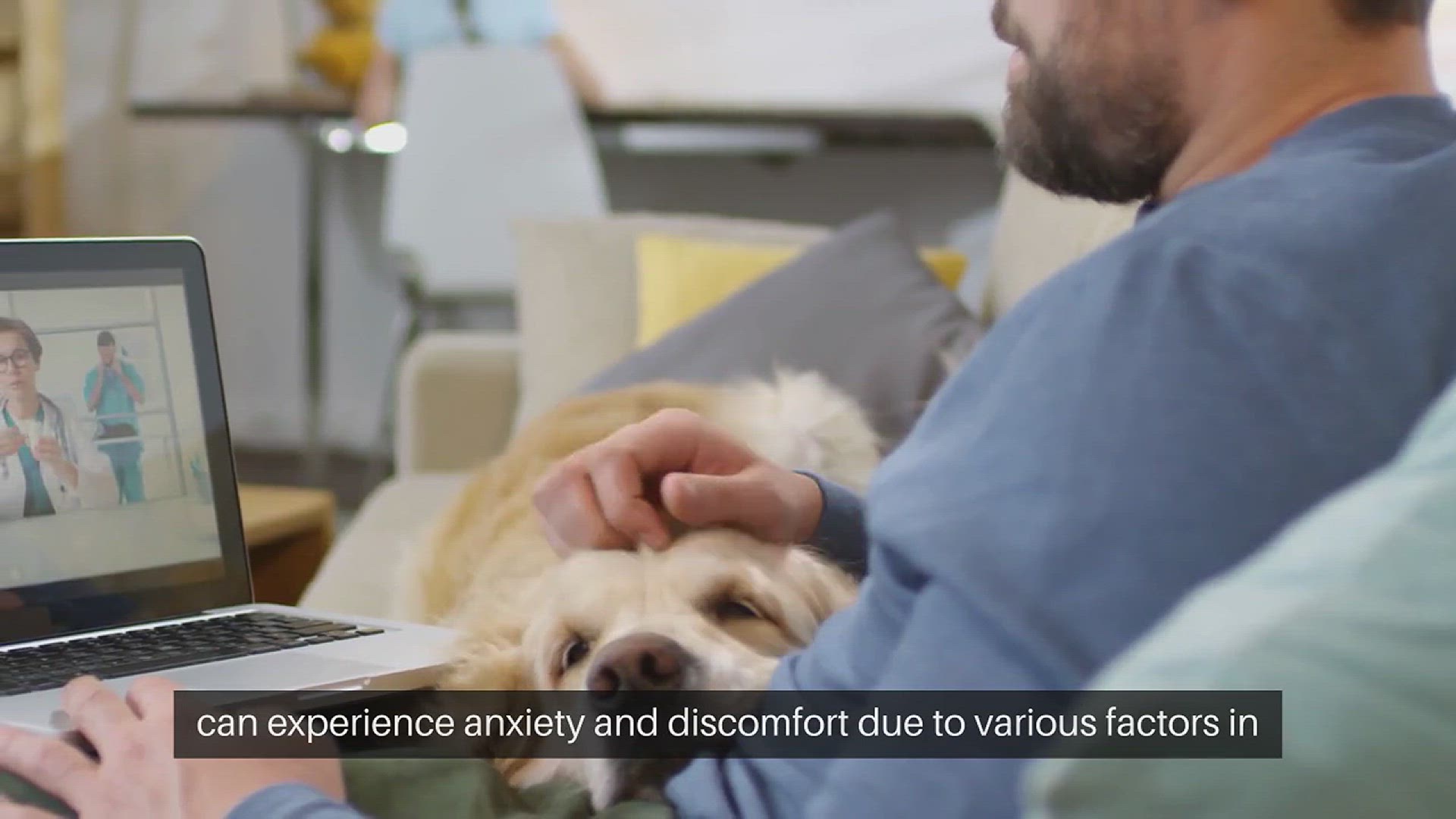 Video thumbnail for Reducing Pet Stress at Home